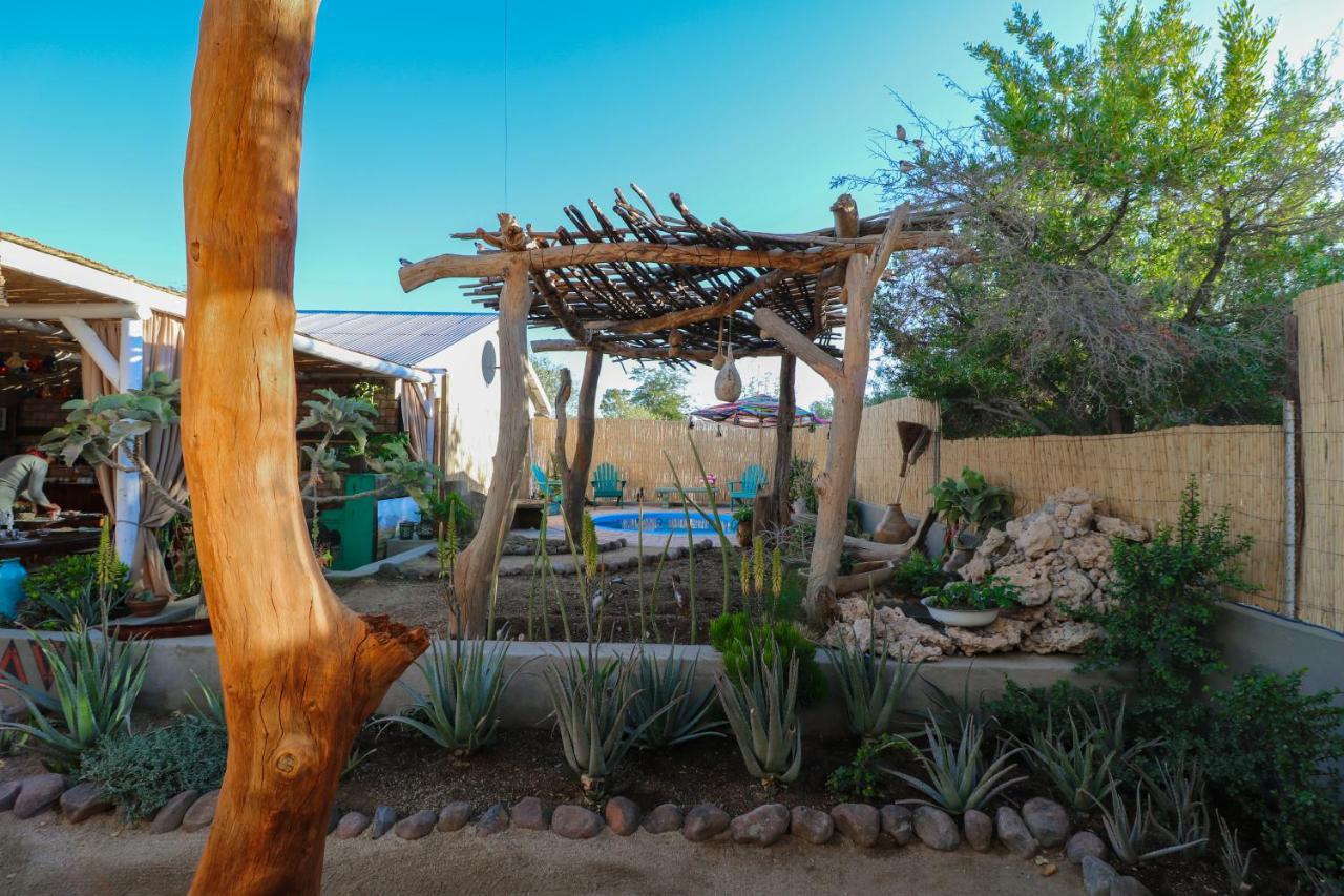 The Desert House Uis ภายนอก รูปภาพ